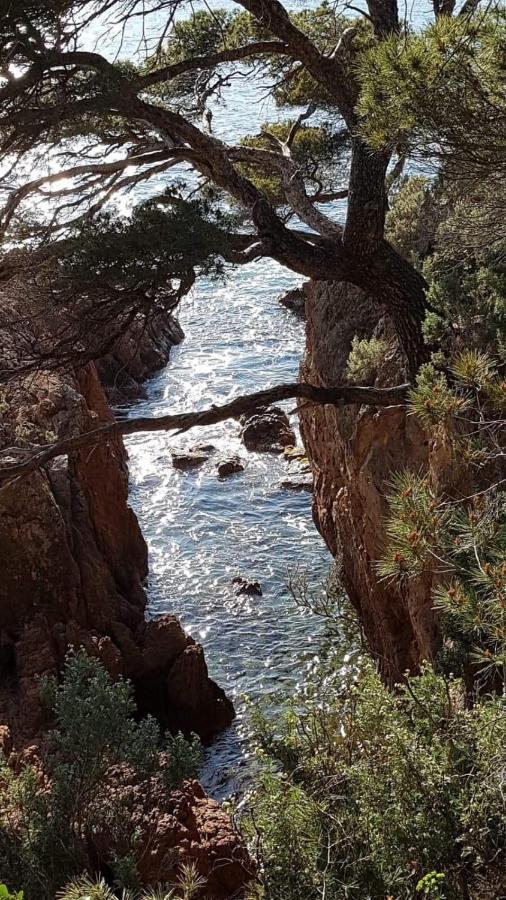 Saint Raphael, Cap Esterel Le Hameau. Vue Mer Exteriér fotografie